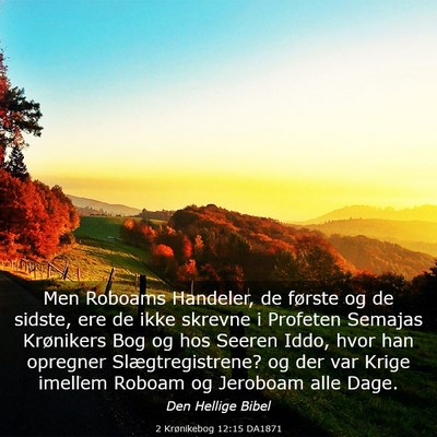 Picture 03 - 2 Krønikebog 12:15 DA1871 - Men Roboams Handeler, de første og de sidste, - Bible Verse Picture