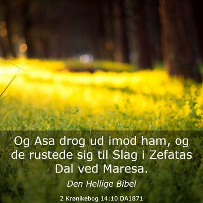 Picture 03 - 2 Krønikebog 14:10 DA1871 - Og Asa drog ud imod ham, og de rustede sig til - Bible Verse Picture