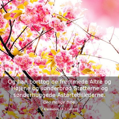 Picture 03 - 2 Krønikebog 14:3 DA1871 - Og han borttog de fremmede Altre og Højene og - Bible Verse Picture