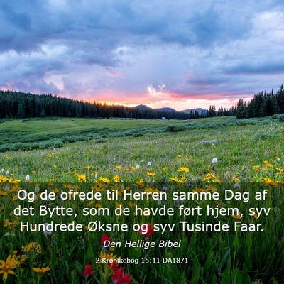 Picture 03 - 2 Krønikebog 15:11 DA1871 - Og de ofrede til Herren samme Dag af det Bytte, - Bible Verse Picture