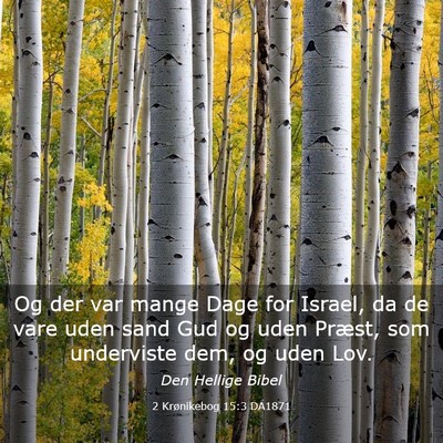 Picture 03 - 2 Krønikebog 15:3 DA1871 - Og der var mange Dage for Israel, da de vare uden - Bible Verse Picture