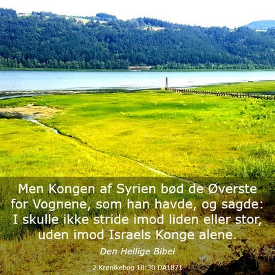 Picture 03 - 2 Krønikebog 18:30 DA1871 - Men Kongen af Syrien bød de Øverste for - Bible Verse Picture