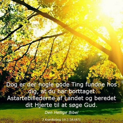 Picture 03 - 2 Krønikebog 19:3 DA1871 - Dog er der nogle gode Ting fundne hos dig, at du - Bible Verse Picture