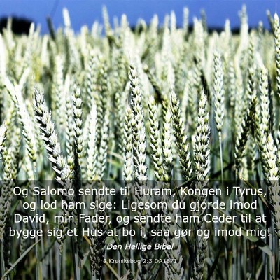 Picture 03 - 2 Krønikebog 2:3 DA1871 - Og Salomo sendte til Huram, Kongen i Tyrus, og - Bible Verse Picture
