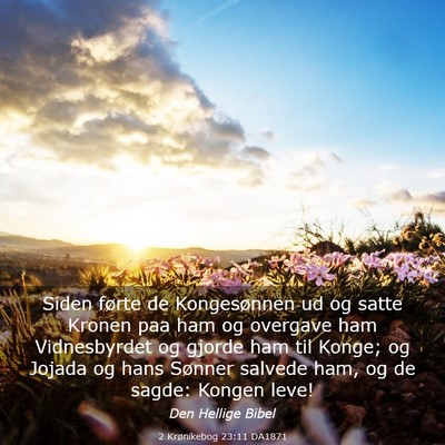 Picture 03 - 2 Krønikebog 23:11 DA1871 - Siden førte de Kongesønnen ud og satte Kronen - Bible Verse Picture