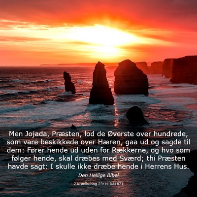 Picture 03 - 2 Krønikebog 23:14 DA1871 - Men Jojada, Præsten, lod de Øverste over - Bible Verse Picture