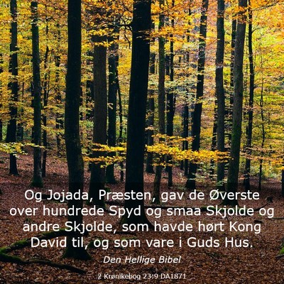 Picture 03 - 2 Krønikebog 23:9 DA1871 - Og Jojada, Præsten, gav de Øverste over - Bible Verse Picture
