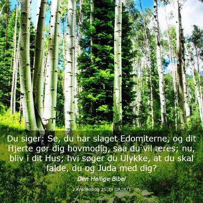 Picture 03 - 2 Krønikebog 25:19 DA1871 - Du siger: Se, du har slaget Edomiterne, og dit - Bible Verse Picture