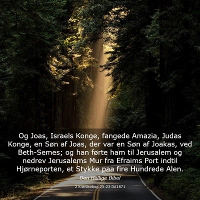 Picture 03 - 2 Krønikebog 25:23 DA1871 - Og Joas, Israels Konge, fangede Amazia, Judas - Bible Verse Picture