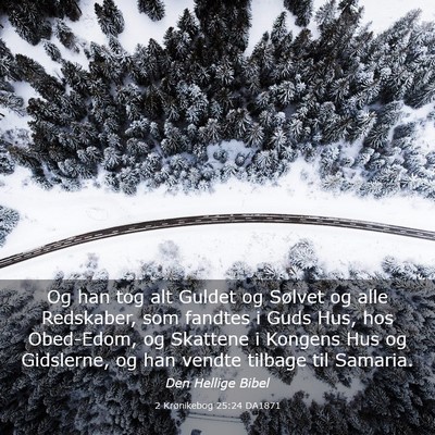 Picture 03 - 2 Krønikebog 25:24 DA1871 - Og han tog alt Guldet og Sølvet og alle - Bible Verse Picture