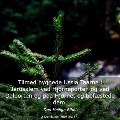 Picture 03 - 2 Krønikebog 26:9 DA1871 - Tilmed byggede Ussia Taarne i Jerusalem ved - Bible Verse Picture