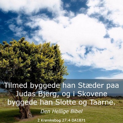 Picture 03 - 2 Krønikebog 27:4 DA1871 - Tilmed byggede han Stæder paa Judas Bjerg, og i - Bible Verse Picture