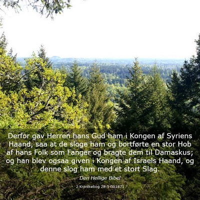 Picture 03 - 2 Krønikebog 28:5 DA1871 - Derfor gav Herren hans Gud ham i Kongen af - Bible Verse Picture