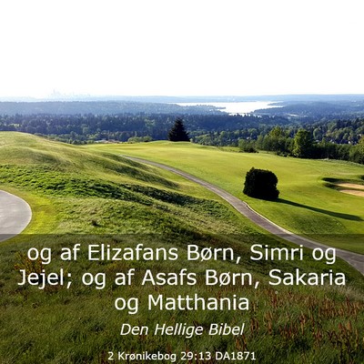 Picture 03 - 2 Krønikebog 29:13 DA1871 - og af Elizafans Børn, Simri og Jejel; og af - Bible Verse Picture