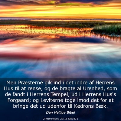 Picture 03 - 2 Krønikebog 29:16 DA1871 - Men Præsterne gik ind i det indre af Herrens Hus - Bible Verse Picture