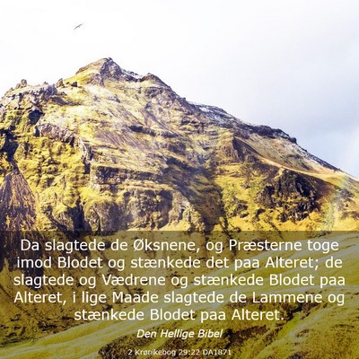Picture 03 - 2 Krønikebog 29:22 DA1871 - Da slagtede de Øksnene, og Præsterne toge imod - Bible Verse Picture