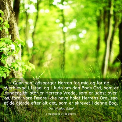 Picture 03 - 2 Krønikebog 34:21 DA1871 - Gaar hen, adspørger Herren for mig og for de - Bible Verse Picture