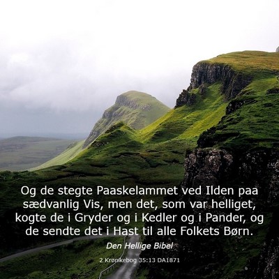 Picture 03 - 2 Krønikebog 35:13 DA1871 - Og de stegte Paaskelammet ved Ilden paa - Bible Verse Picture