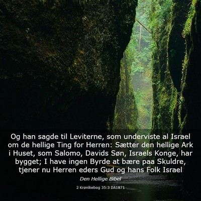 Picture 03 - 2 Krønikebog 35:3 DA1871 - Og han sagde til Leviterne, som underviste al - Bible Verse Picture