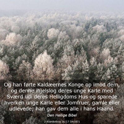 Picture 03 - 2 Krønikebog 36:17 DA1871 - Og han førte Kaldæernes Konge op imod dem, og - Bible Verse Picture