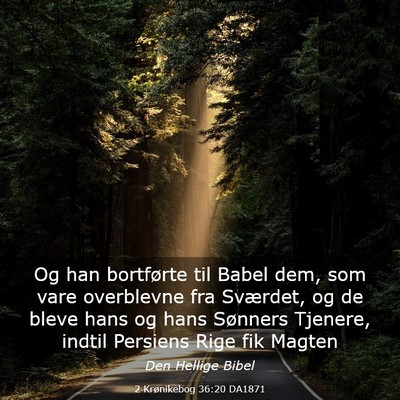 Picture 03 - 2 Krønikebog 36:20 DA1871 - Og han bortførte til Babel dem, som vare - Bible Verse Picture