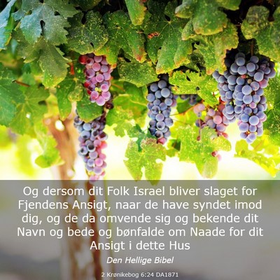 Picture 03 - 2 Krønikebog 6:24 DA1871 - Og dersom dit Folk Israel bliver slaget for - Bible Verse Picture