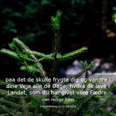 Picture 03 - 2 Krønikebog 6:31 DA1871 - paa det de skulle frygte dig og vandre i dine - Bible Verse Picture