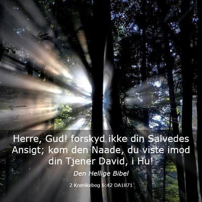 Picture 03 - 2 Krønikebog 6:42 DA1871 - Herre, Gud! forskyd ikke din Salvedes Ansigt; kom - Bible Verse Picture