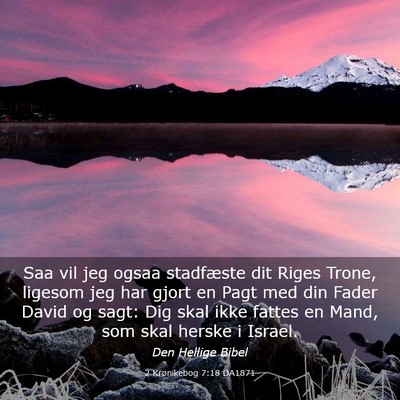Picture 03 - 2 Krønikebog 7:18 DA1871 - Saa vil jeg ogsaa stadfæste dit Riges Trone, - Bible Verse Picture
