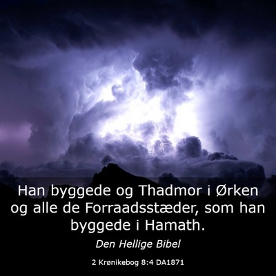 Picture 03 - 2 Krønikebog 8:4 DA1871 - Han byggede og Thadmor i Ørken og alle de - Bible Verse Picture
