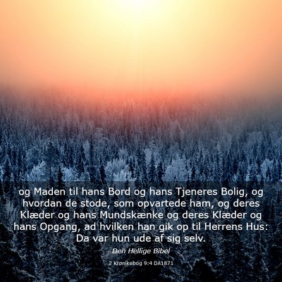 Picture 03 - 2 Krønikebog 9:4 DA1871 - og Maden til hans Bord og hans Tjeneres Bolig, og - Bible Verse Picture
