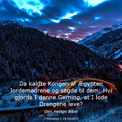 Picture 03 - 2 Mosebog 1:18 DA1871 - Da kaldte Kongen af Ægypten Jordemødrene og - Bible Verse Picture