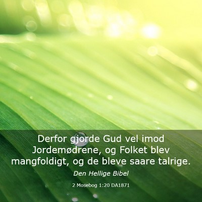 Picture 03 - 2 Mosebog 1:20 DA1871 - Derfor gjorde Gud vel imod Jordemødrene, og - Bible Verse Picture