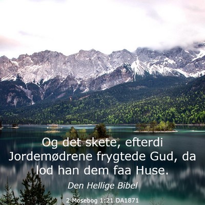 Picture 03 - 2 Mosebog 1:21 DA1871 - Og det skete, efterdi Jordemødrene frygtede Gud, - Bible Verse Picture