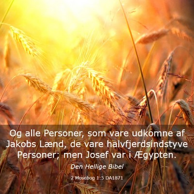 Picture 03 - 2 Mosebog 1:5 DA1871 - Og alle Personer, som vare udkomne af Jakobs - Bible Verse Picture