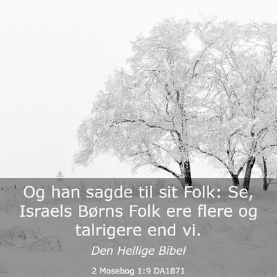 Picture 03 - 2 Mosebog 1:9 DA1871 - Og han sagde til sit Folk: Se, Israels Børns - Bible Verse Picture