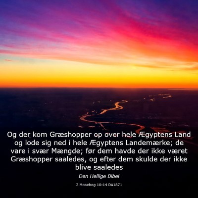 Picture 03 - 2 Mosebog 10:14 DA1871 - Og der kom Græshopper op over hele Ægyptens - Bible Verse Picture