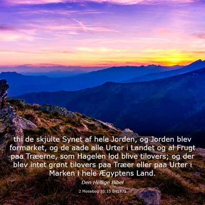 Picture 03 - 2 Mosebog 10:15 DA1871 - thi de skjulte Synet af hele Jorden, og Jorden - Bible Verse Picture