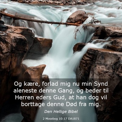 Picture 03 - 2 Mosebog 10:17 DA1871 - Og kære, forlad mig nu min Synd aleneste denne - Bible Verse Picture
