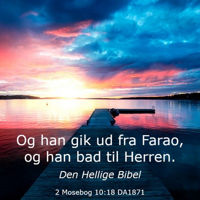 Picture 03 - 2 Mosebog 10:18 DA1871 - Og han gik ud fra Farao, og han bad til - Bible Verse Picture