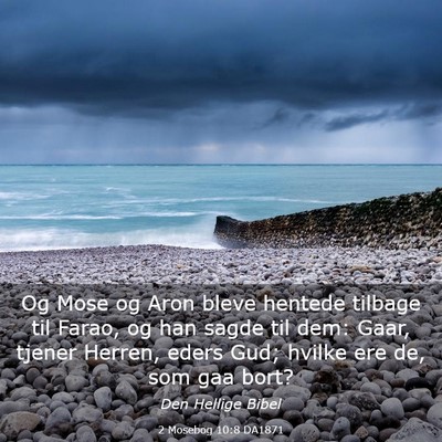 Picture 03 - 2 Mosebog 10:8 DA1871 - Og Mose og Aron bleve hentede tilbage til Farao, - Bible Verse Picture