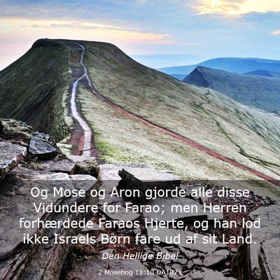 Picture 03 - 2 Mosebog 11:10 DA1871 - Og Mose og Aron gjorde alle disse Vidundere for - Bible Verse Picture