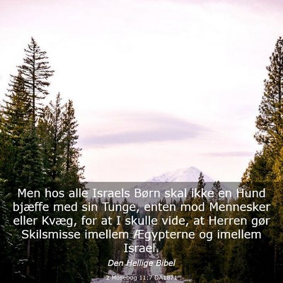 Picture 03 - 2 Mosebog 11:7 DA1871 - Men hos alle Israels Børn skal ikke en Hund - Bible Verse Picture