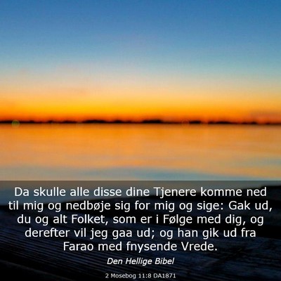 Picture 03 - 2 Mosebog 11:8 DA1871 - Da skulle alle disse dine Tjenere komme ned til - Bible Verse Picture