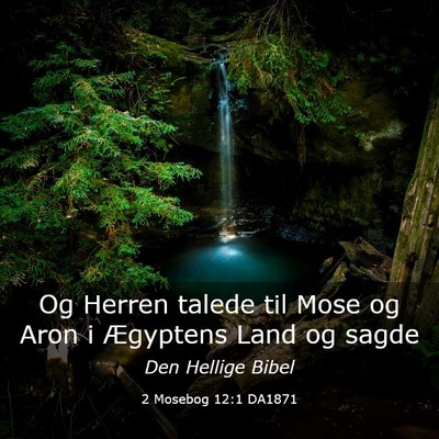 Picture 03 - 2 Mosebog 12:1 DA1871 - Og Herren talede til Mose og Aron i Ægyptens - Bible Verse Picture