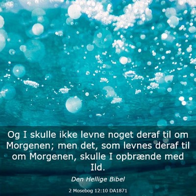 Picture 03 - 2 Mosebog 12:10 DA1871 - Og I skulle ikke levne noget deraf til om - Bible Verse Picture
