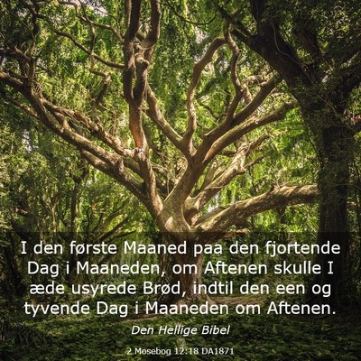 Picture 03 - 2 Mosebog 12:18 DA1871 - I den første Maaned paa den fjortende Dag i - Bible Verse Picture