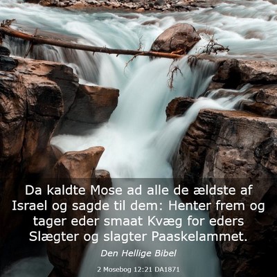 Picture 03 - 2 Mosebog 12:21 DA1871 - Da kaldte Mose ad alle de ældste af Israel og - Bible Verse Picture
