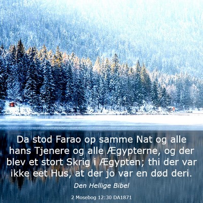 Picture 03 - 2 Mosebog 12:30 DA1871 - Da stod Farao op samme Nat og alle hans Tjenere - Bible Verse Picture