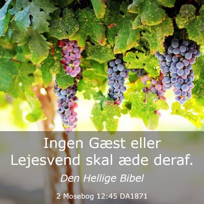 Picture 03 - 2 Mosebog 12:45 DA1871 - Ingen Gæst eller Lejesvend skal æde - Bible Verse Picture